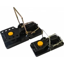 Nara Lure Lokaas Mango 100 Stuks 8 Nara Lure Lokaas Mango 100 Stuks -Pokon Winkel nara lure lokaas mango 100 stuks 2