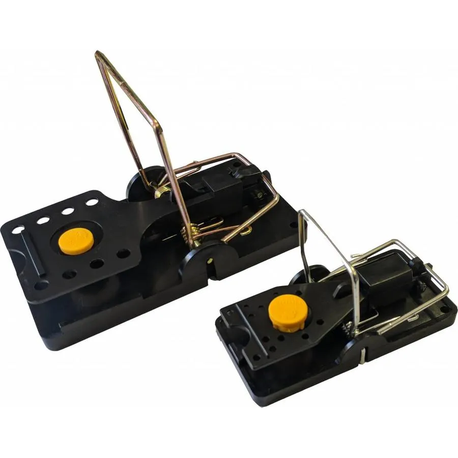 Nara Lure Lokaas Mango 100 Stuks 5 Nara Lure Lokaas Mango 100 Stuks - Afbeelding 3