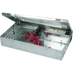 Nara Lure Lokaas Vlees 100 Stuks 9 Nara Lure Lokaas Vlees 100 Stuks -Pokon Winkel nara lure lokaas vlees 100 stuks 2