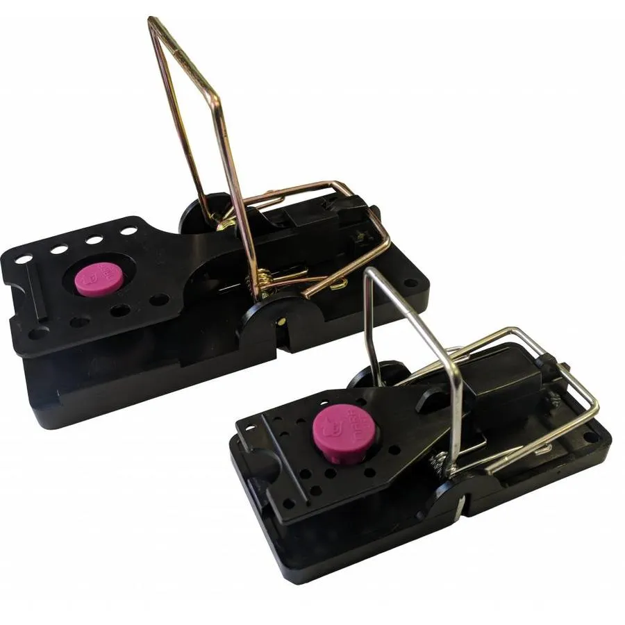 Nara Lure Lokaas Vlees 100 Stuks 7 Nara Lure Lokaas Vlees 100 Stuks - Afbeelding 5