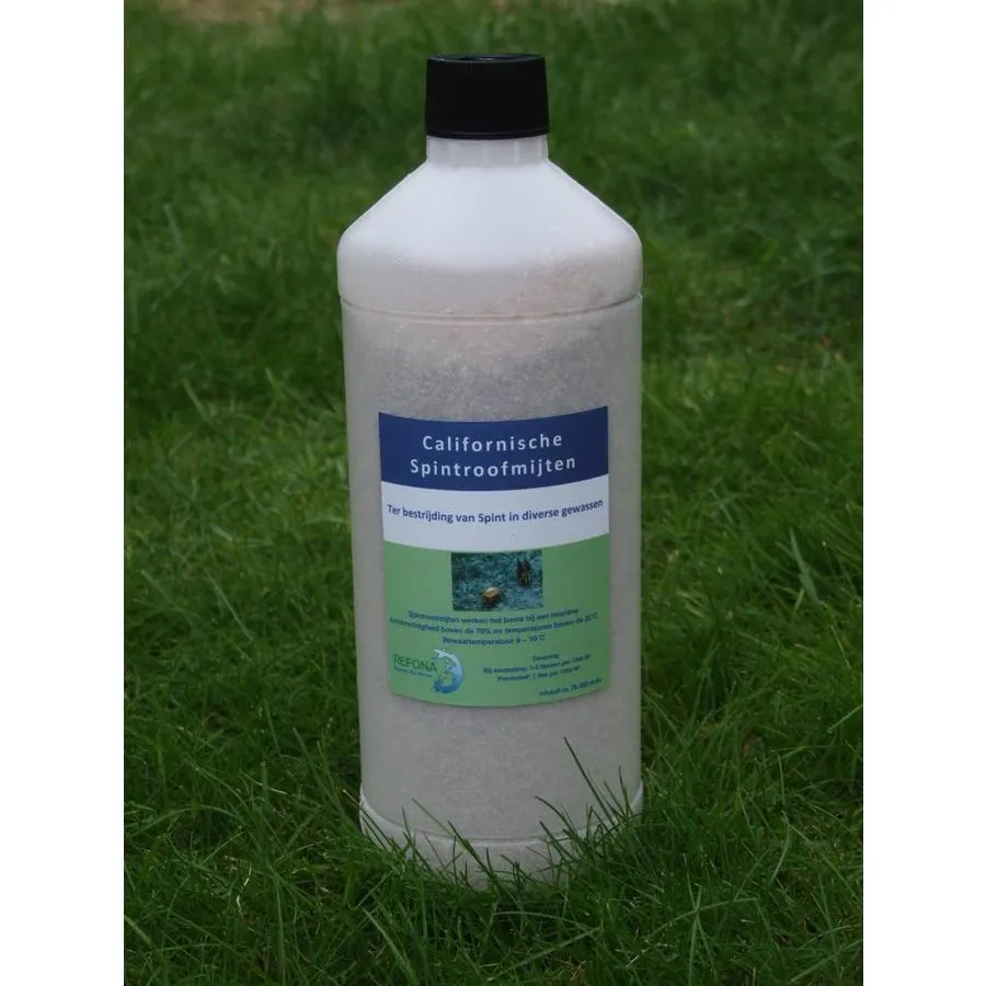 Refona Californische Spint Roofmijten 12.500 Stuks 4 Refona Californische Spint Roofmijten 12.500 Stuks - Afbeelding 2