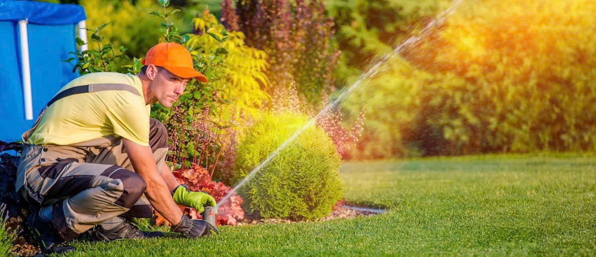 Pokon Winkel -Pokon Winkel z6415030836758 65aca944a2638477d5b597c957209820