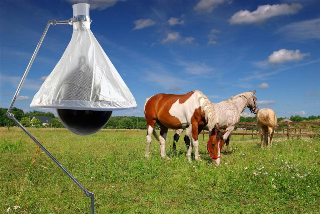 Pokon Winkel 42 Pokon Winkel -Pokon Winkel z6415192303244 d706ff75afc3853680e0d956f3e015d8