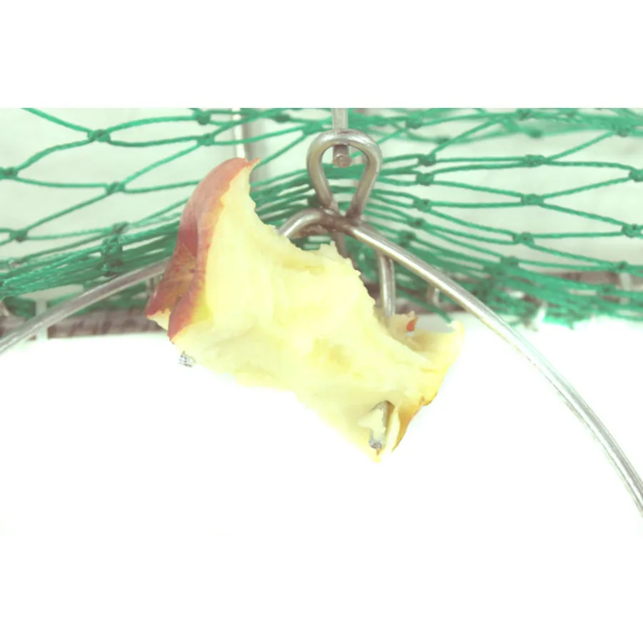 Zielona Lapka Grote Klapval 4 Zielona Lapka Grote Klapval - Afbeelding 2