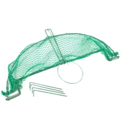 Zielona Lapka Grote Klapval